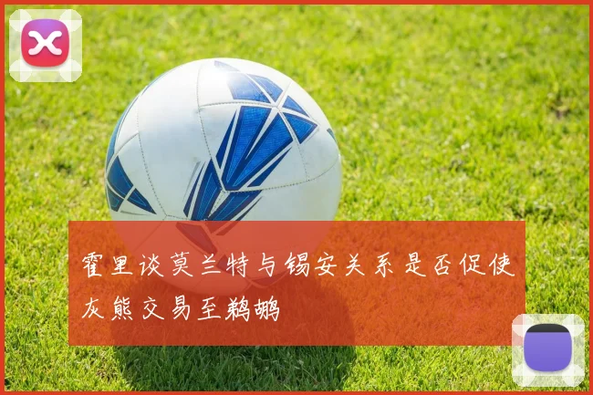 霍里谈莫兰特与锡安关系是否促使灰熊交易至鹈鹕