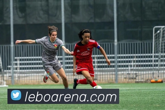 乐博体育服务体系