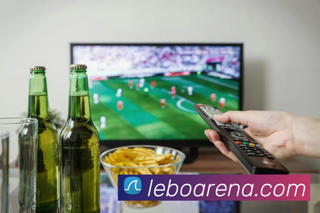 多媒体互动体验